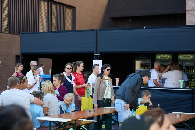 Avant course & VIP, photo 11